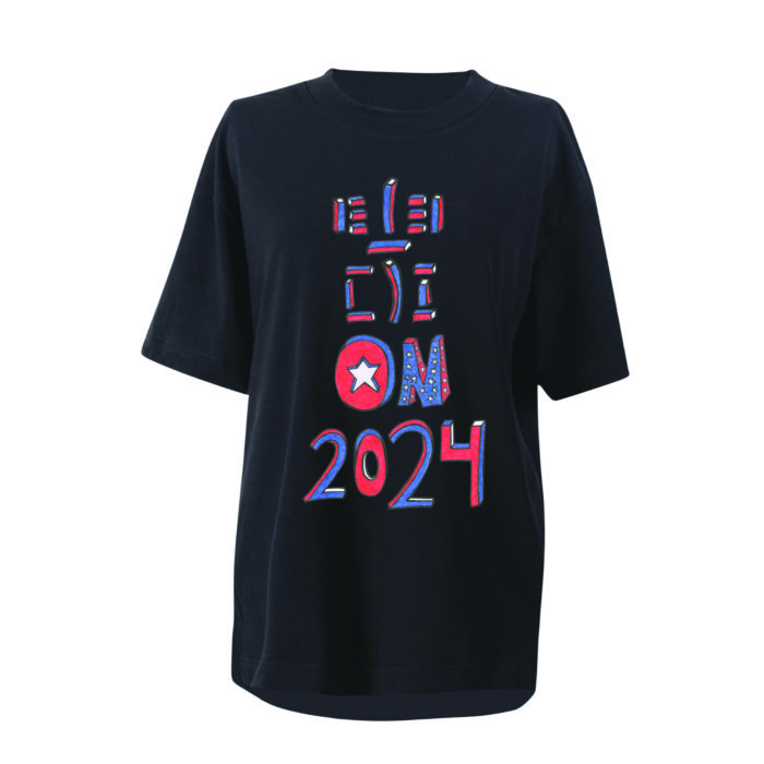 Election 2024 - Image 2